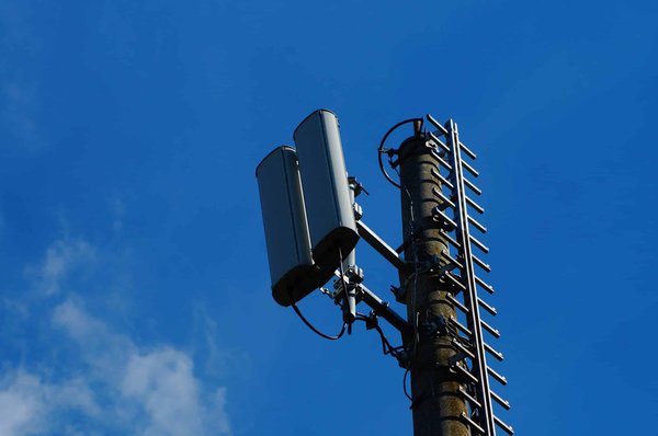 How Are Digital Platforms Transforming Traditional Farm-to-Table Supply Chains?